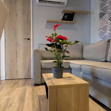 Mobilhome 3 Vue Sur L'etang 度假居 卡内